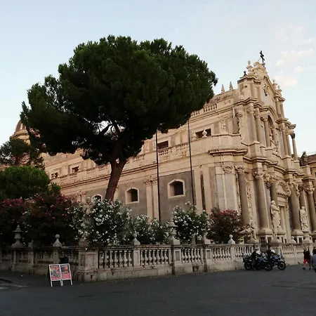 Magaria * Catania